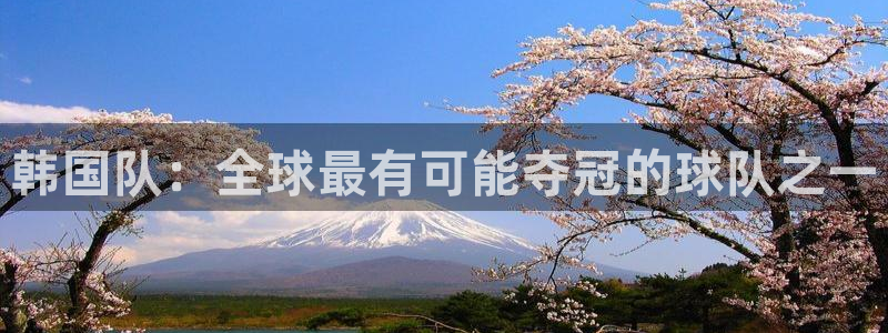 世界杯预选赛欧洲赛区积分榜:韩国队:全球最有可能夺冠的球队之一