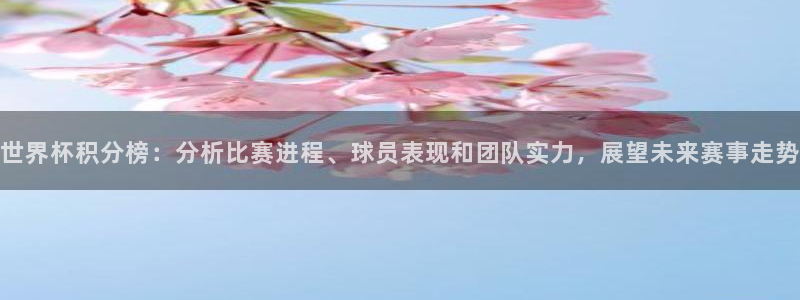世界杯预选赛欧洲:世界杯积分榜:分析比赛进程、球员表现和团队实力,展望未来赛事走势