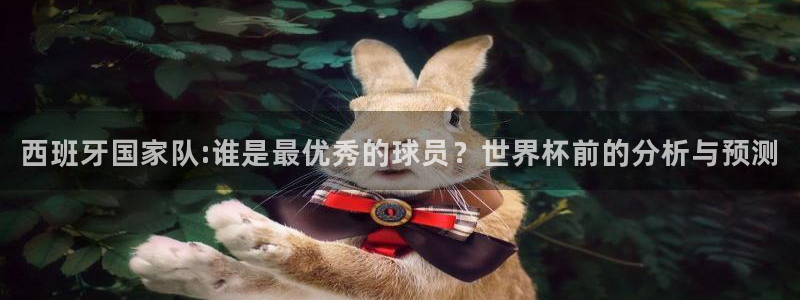 世界杯预选赛欧洲:西班牙国家队:谁是最优秀的球员?世界杯前的分析与预测
