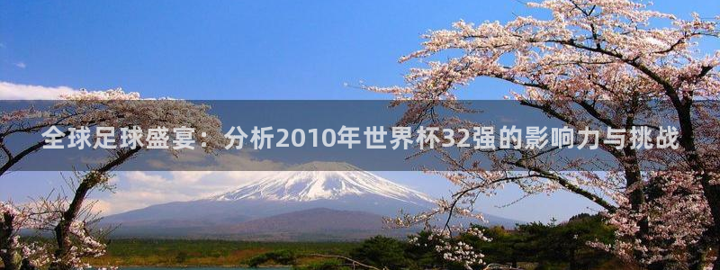 世界杯官网:全球足球盛宴:分析2010年世界杯32强的影响力与挑战