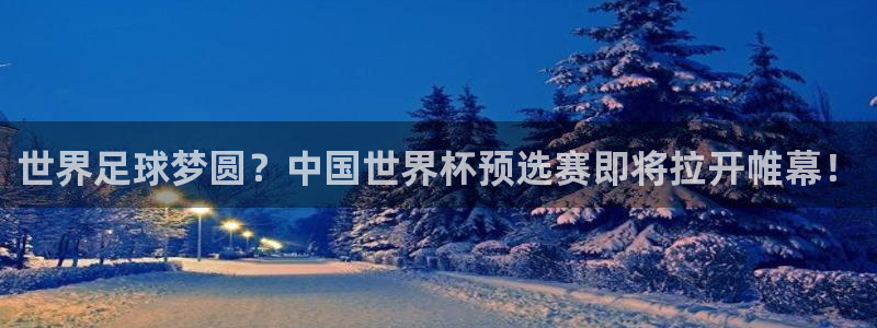 世界杯小组赛赛程:世界足球梦圆?中国世界杯预选赛即将拉开帷幕!